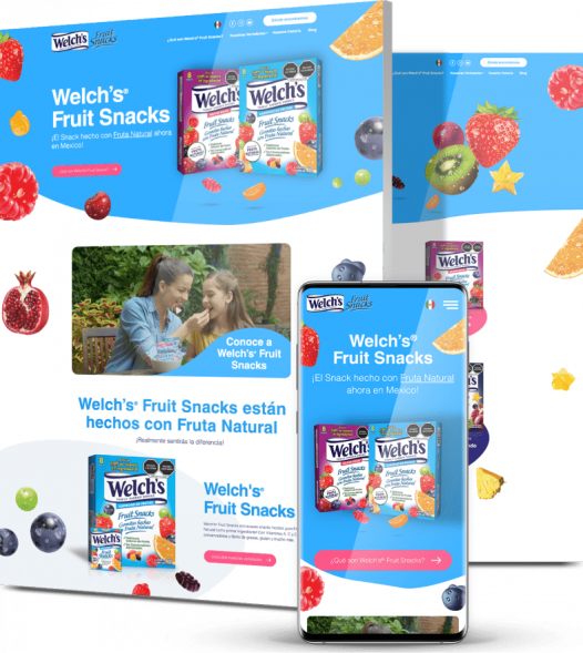 Custom-web-development-company-client-Welch Custom web development company client Welch's MX