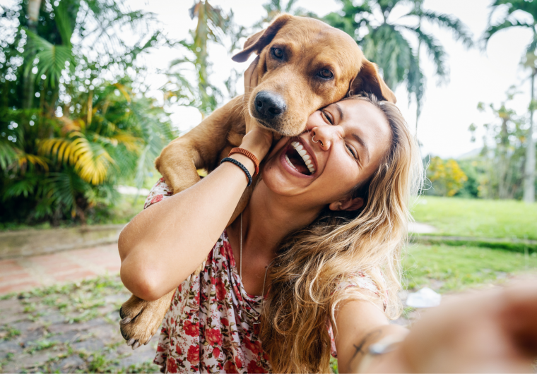 absolute dogs background new A woman with a dog