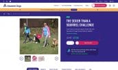 Absolute Dogs product screenshot