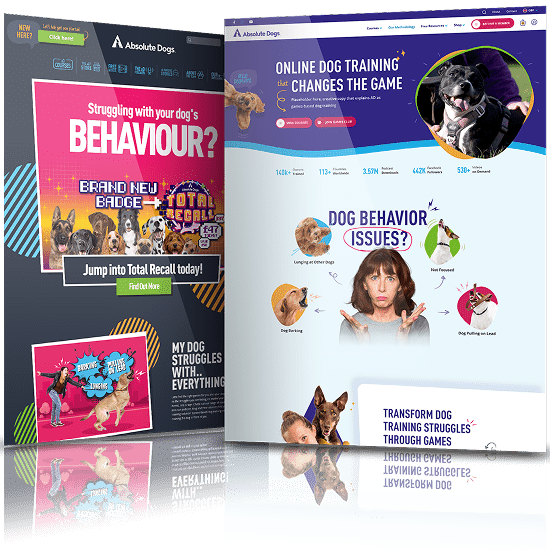 AbsoluteDogs-before-after AbsoluteDogs-before-after